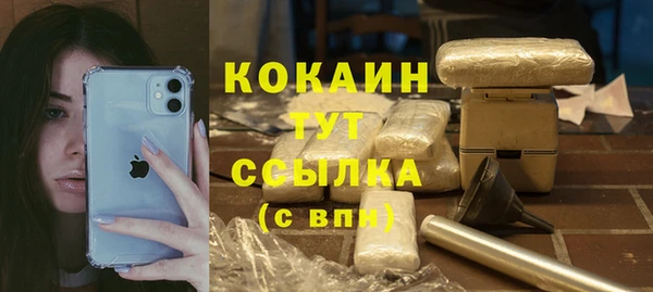 спиды Няндома