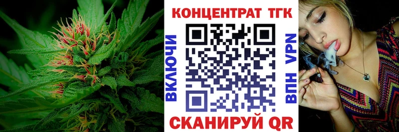 купить   Сурск  ТГК концентрат 
