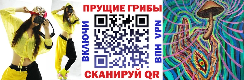 Галлюциногенные грибы Psilocybine cubensis  Сурск 